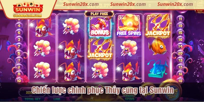 Tính năng tự động quay giữ nhịp đều đặn